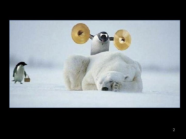 What’s wrong with this picture? 2 