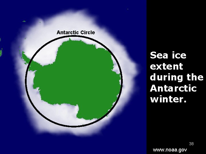 Antarctic Circle Sea ice extent during the Antarctic winter. 38 www. noaa. gov 