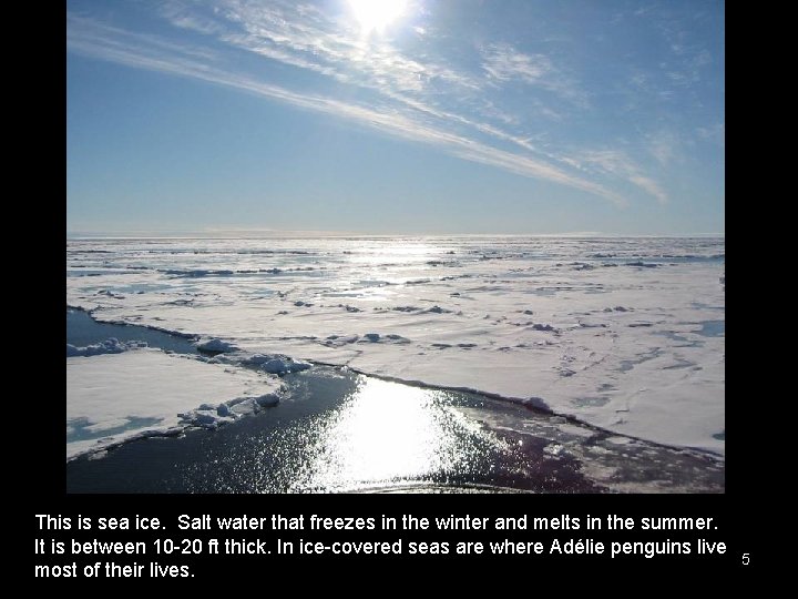 This is sea ice. Salt water that freezes in the winter and melts in