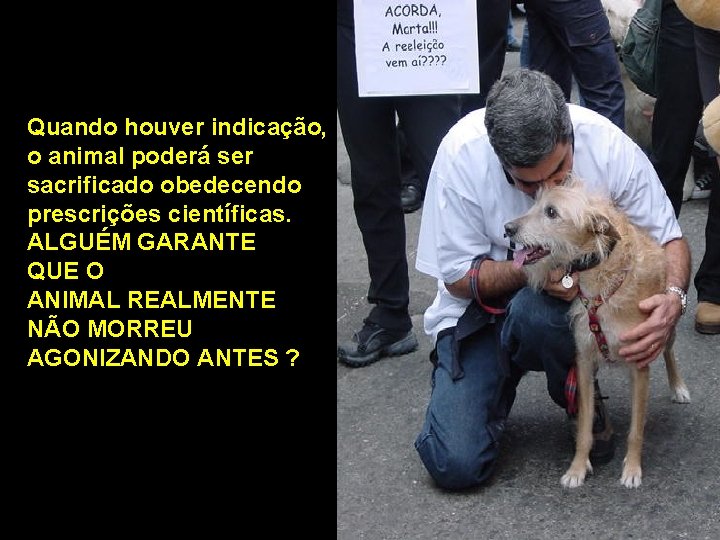 Quando houver indicação, o animal poderá ser sacrificado obedecendo prescrições científicas. ALGUÉM GARANTE QUE