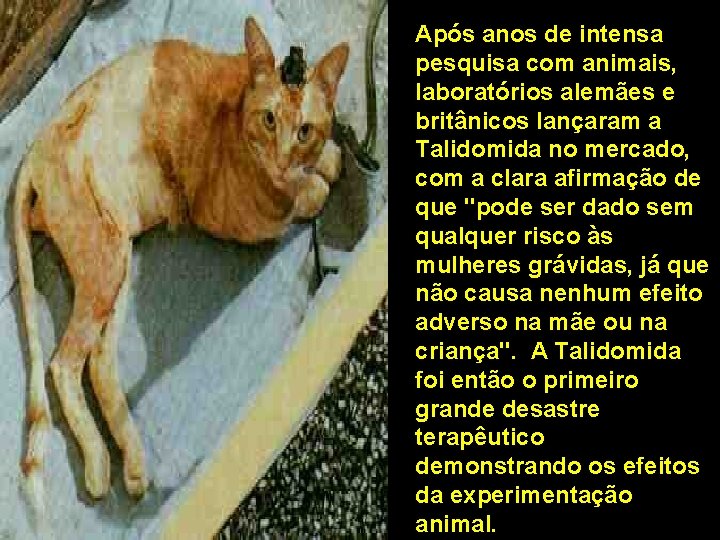 Após anos de intensa pesquisa com animais, laboratórios alemães e britânicos lançaram a Talidomida