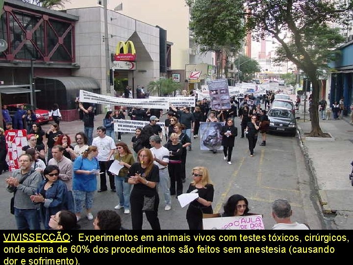 VIVISSECÇÃO: Experimentos em animais vivos com testes tóxicos, cirúrgicos, onde acima de 60% dos VIVISSECÇÃO: Experimentos em animais vivos com testes tóxicos, cirúrgicos, onde acima de 60% dos
