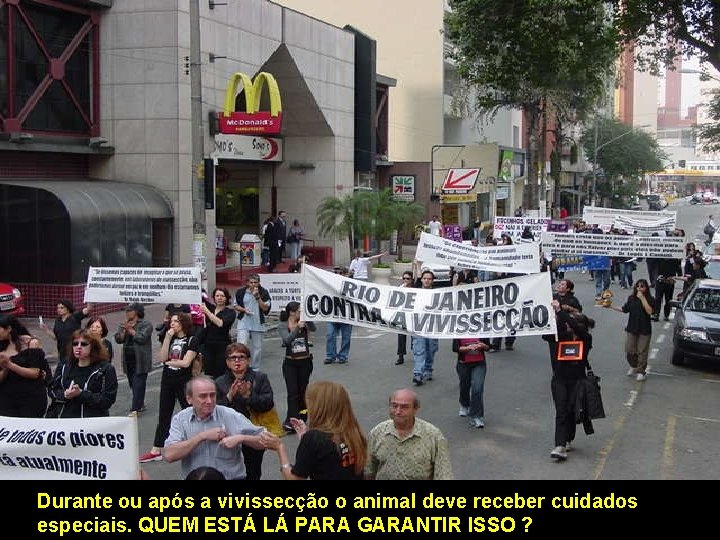 Durante ou após a vivissecção o animal deve receber cuidados especiais. QUEM ESTÁ LÁ