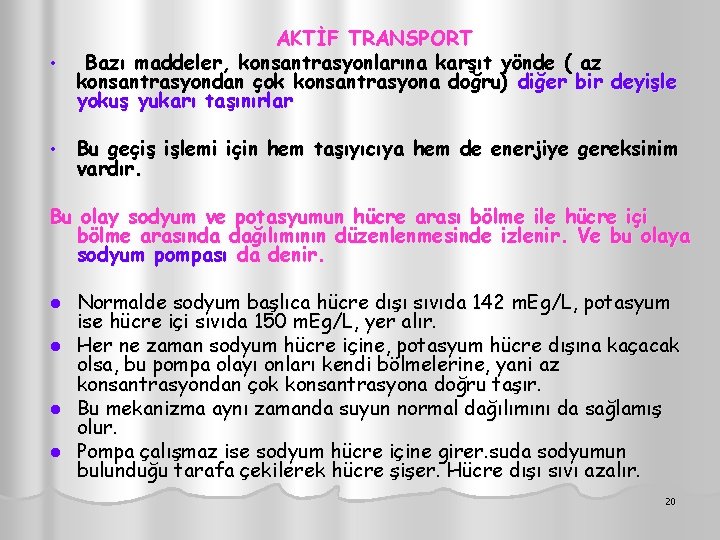 AKTİF TRANSPORT • Bazı maddeler, konsantrasyonlarına karşıt yönde ( az konsantrasyondan çok konsantrasyona doğru)