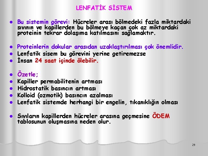 LENFATİK SİSTEM l Bu sistemin görevi: Hücreler arası bölmedeki fazla miktardaki sıvının ve kapillerden