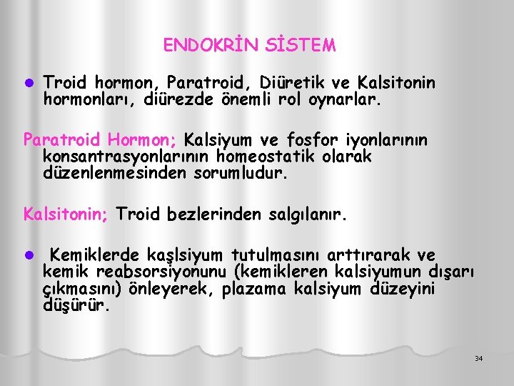 ENDOKRİN SİSTEM l Troid hormon, Paratroid, Diüretik ve Kalsitonin hormonları, diürezde önemli rol oynarlar.