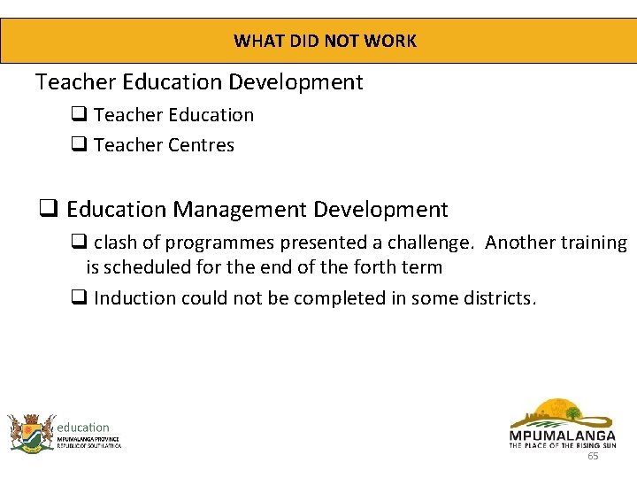 WHAT DID NOT WORK Teacher Education Development q Teacher Education q Teacher Centres q