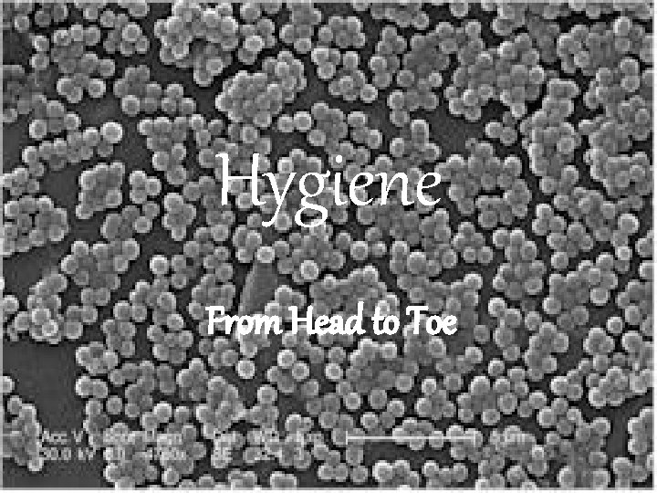 Hygiene From Head to Toe Hygiene From Head to Toe