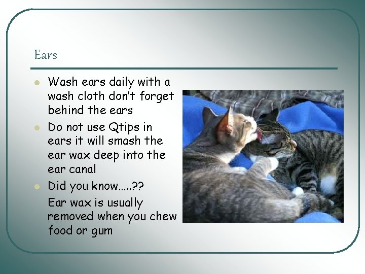 Ears l l l Wash ears daily with a wash cloth don’t forget behind Ears l l l Wash ears daily with a wash cloth don’t forget behind