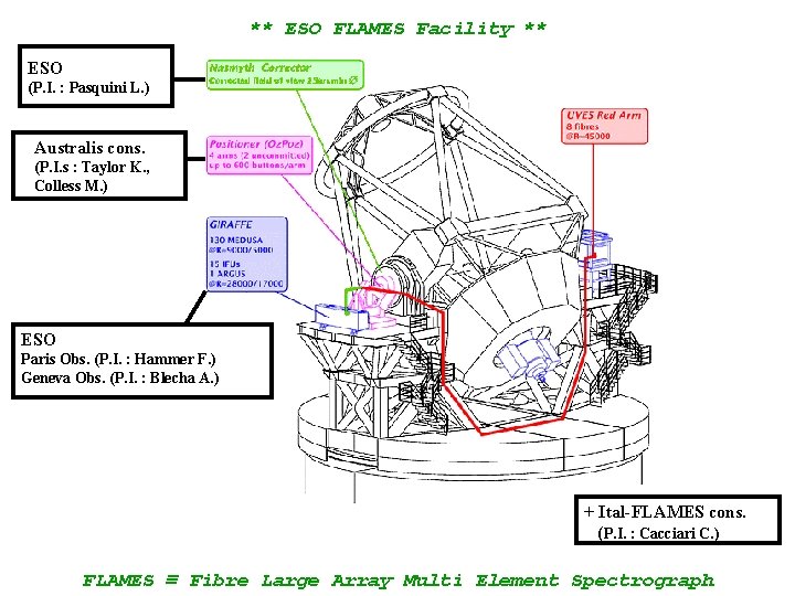 ** ESO FLAMES Facility ** ESO (P. I. : Pasquini L. ) Australis cons.