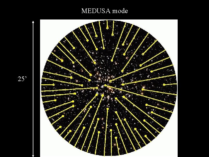 MEDUSA mode 25’ 25 25’ 