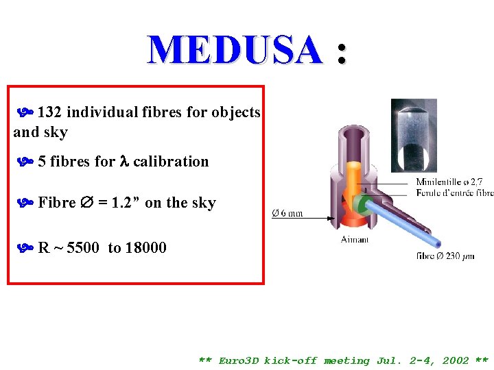 MEDUSA : 132 individual fibres for objects and sky 5 fibres for calibration Fibre
