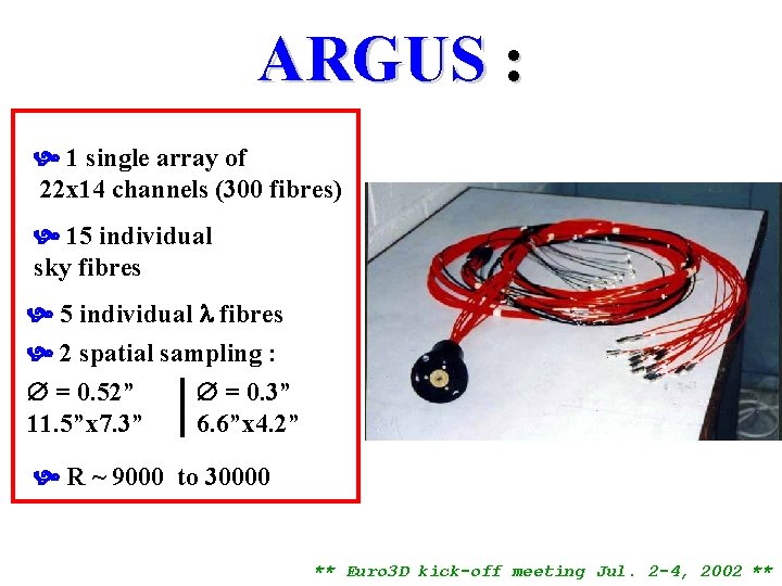 ARGUS : 1 single array of 22 x 14 channels (300 fibres) 15 individual