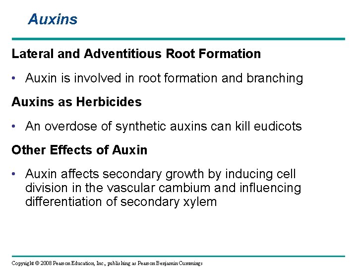 Auxins Lateral and Adventitious Root Formation • Auxin is involved in root formation and