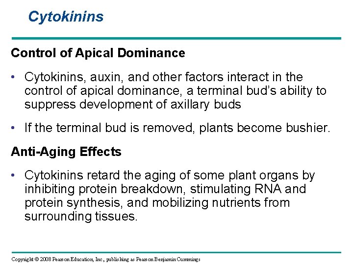Cytokinins Control of Apical Dominance • Cytokinins, auxin, and other factors interact in the