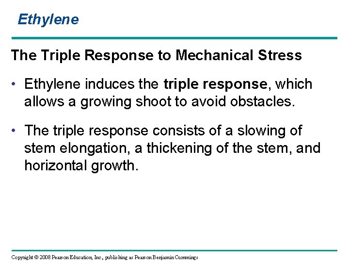 Ethylene The Triple Response to Mechanical Stress • Ethylene induces the triple response, which