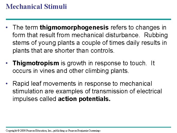 Mechanical Stimuli • The term thigmomorphogenesis refers to changes in form that result from
