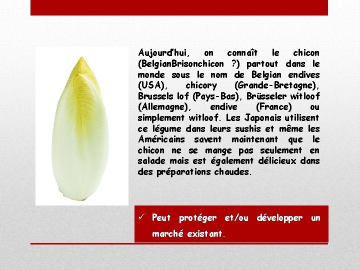 Aujourd’hui, on connaît le chicon (Belgian. Brisonchicon ? ) partout dans le monde sous