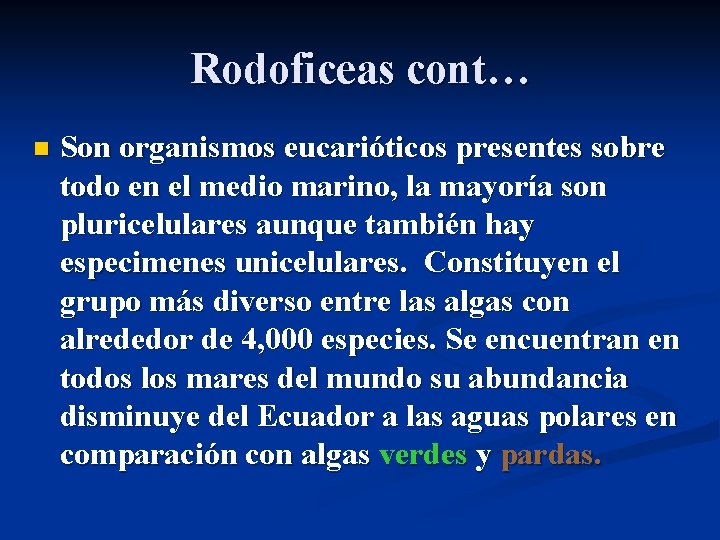 Rodoficeas cont… n Son organismos eucarióticos presentes sobre todo en el medio marino, la