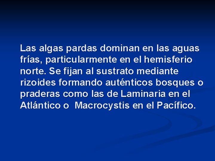 Las algas pardas dominan en las aguas frías, particularmente en el hemisferio norte. Se