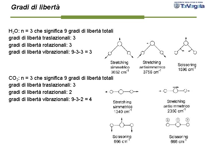 Gradi di libertà H 2 O: n = 3 che significa 9 gradi di