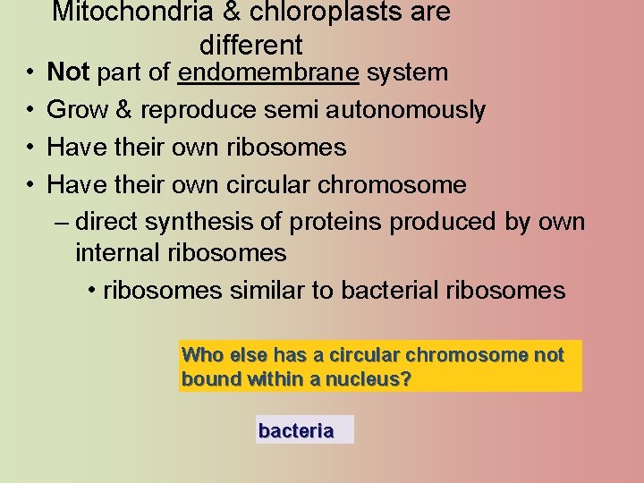  • • Mitochondria & chloroplasts are different Not part of endomembrane system Grow
