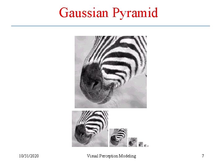 Gaussian Pyramid 10/31/2020 Visual Perception Modeling 7 