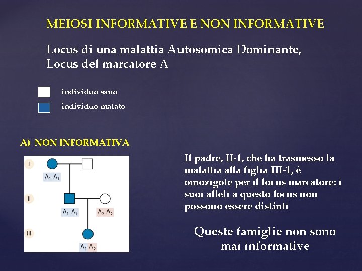 MEIOSI INFORMATIVE E NON INFORMATIVE Locus di una malattia Autosomica Dominante, Locus del marcatore