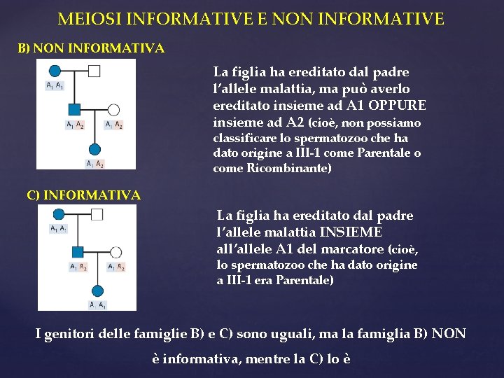 MEIOSI INFORMATIVE E NON INFORMATIVE B) NON INFORMATIVA La figlia ha ereditato dal padre