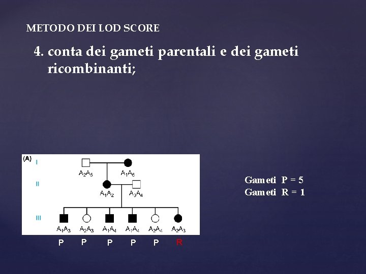 METODO DEI LOD SCORE 4. conta dei gameti parentali e dei gameti ricombinanti; Gameti