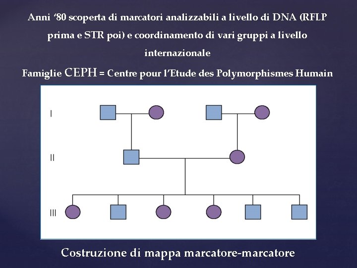 Anni ‘ 80 scoperta di marcatori analizzabili a livello di DNA (RFLP prima e