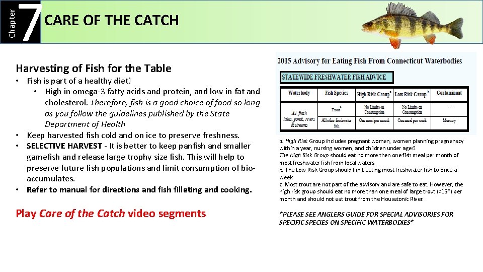Chapter 7 CARE OF THE CATCH Harvesting of Fish for the Table • Fish