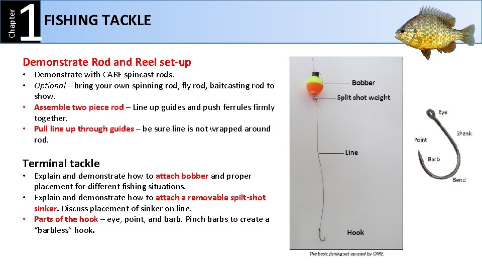 Chapter 1 FISHING TACKLE Demonstrate Rod and Reel set-up • Demonstrate with CARE spincast