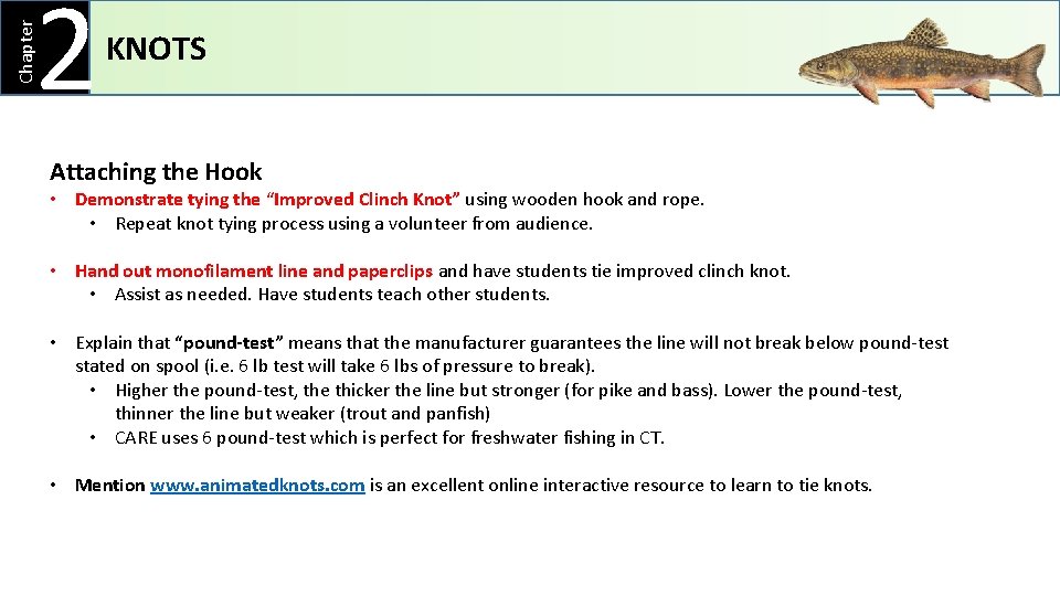 Chapter 2 KNOTS Attaching the Hook • Demonstrate tying the “Improved Clinch Knot” using