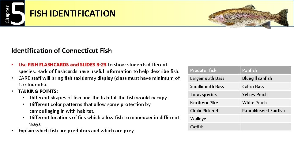Chapter 5 FISH IDENTIFICATION Identification of Connecticut Fish • Use FISH FLASHCARDS and SLIDES