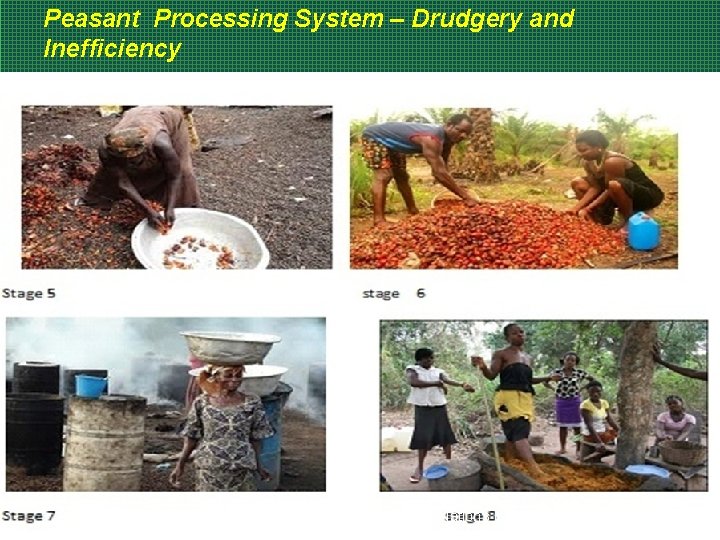 Peasant Processing System – Drudgery and Inefficiency RMRDC………. Adding Value to the Nation's Natural