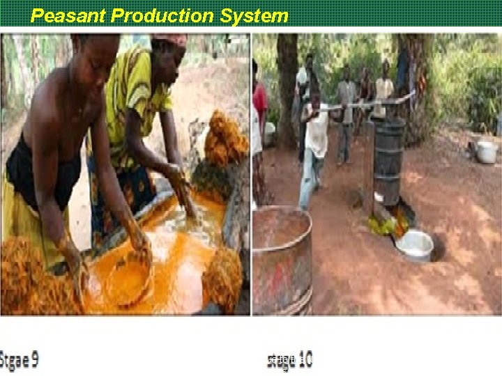 Peasant Production System RMRDC………. Adding Value to the Nation's Natural Resources 39 