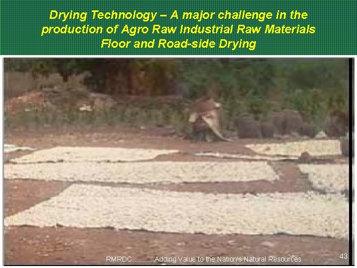 Drying Technology – A major challenge in the production of Agro Raw Industrial Raw