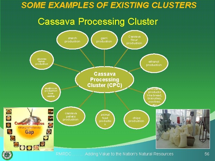 SOME EXAMPLES OF EXISTING CLUSTERS Cassava Processing Cluster starch production garri production Cassava flour