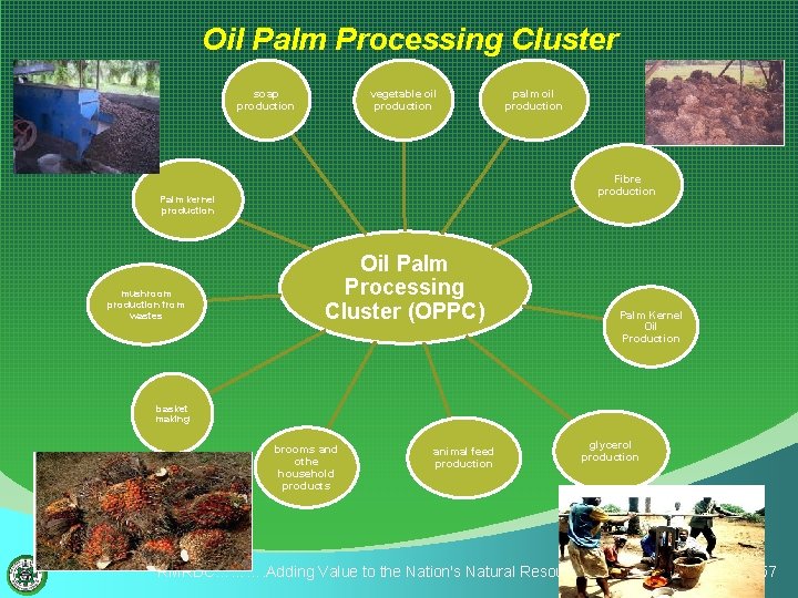 Oil Palm Processing Cluster soap production vegetable oil production palm oil production Fibre production