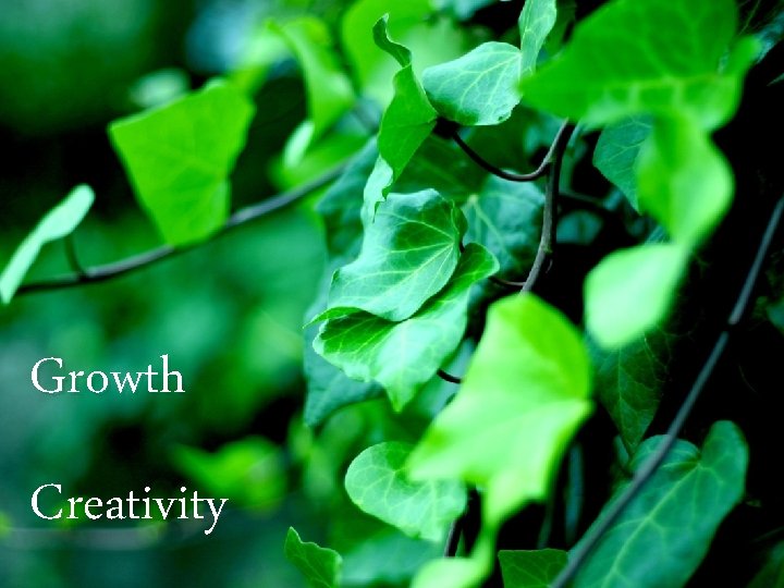 Growth Creativity 