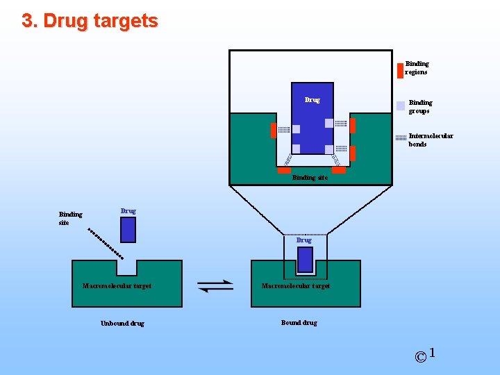 3. Drug targets Binding regions Drug Binding groups Intermolecular bonds Binding site Drug Macromolecular