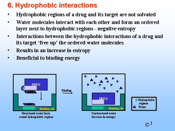 6. Hydrophobic interactions • • • Hydrophobic regions of a drug and its target