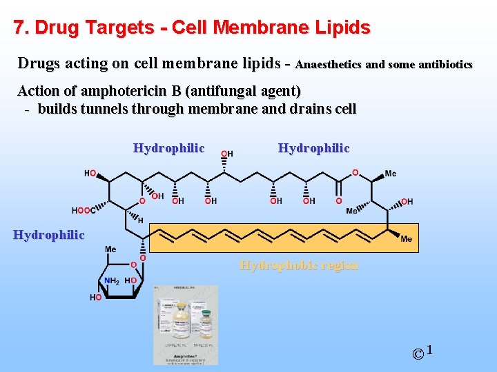 7. Drug Targets - Cell Membrane Lipids Drugs acting on cell membrane lipids -