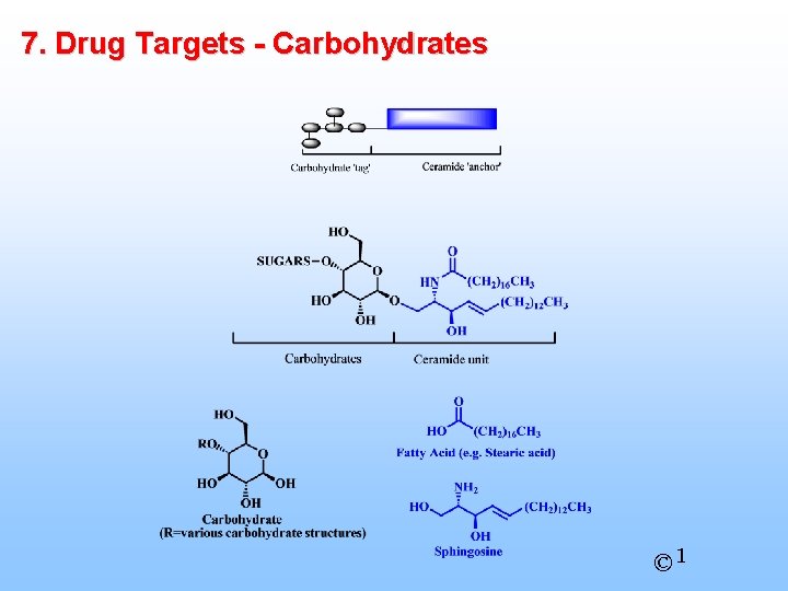 7. Drug Targets - Carbohydrates © 1 