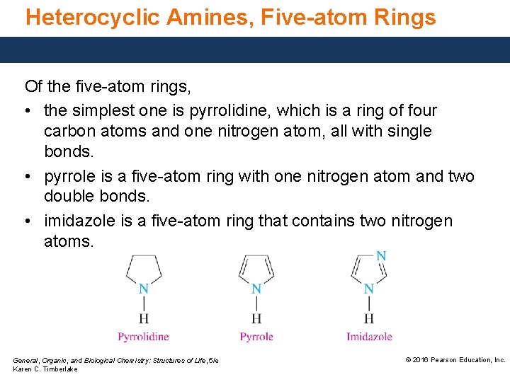 Heterocyclic Amines, Five-atom Rings Of the five-atom rings, • the simplest one is pyrrolidine,