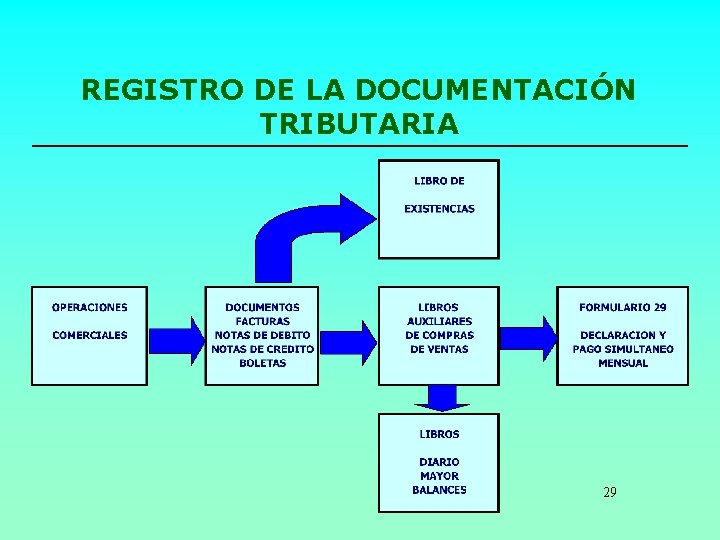 REGISTRO DE LA DOCUMENTACIÓN TRIBUTARIA 29 