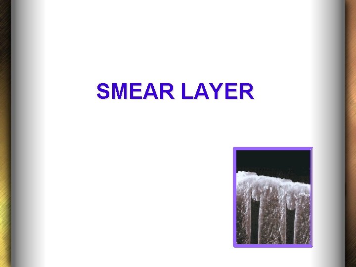 SMEAR LAYER 