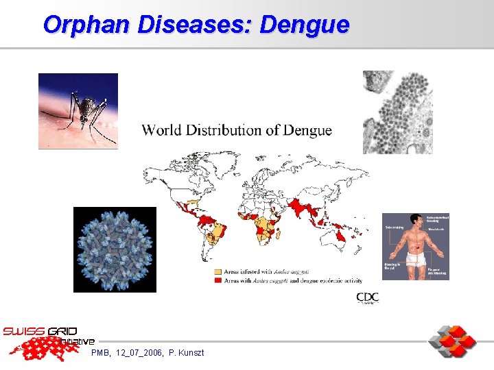 Orphan Diseases: Dengue PMB, 12_07_2006, P. Kunszt 