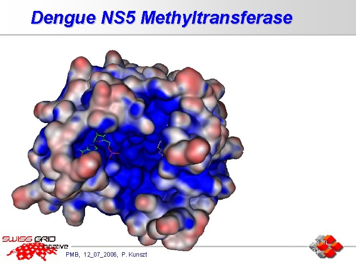 Dengue NS 5 Methyltransferase • PDB 1 R 6 A: Structure solved in complex